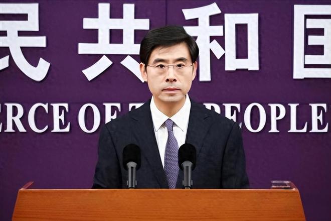 吃尽中国红利却卸磨杀驴卖身美国这被查一点都不冤