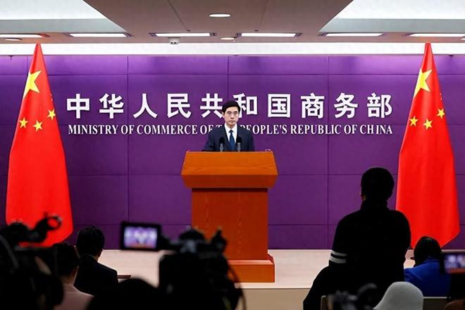 吃尽中国红利却卸磨杀驴卖身美国这被查一点都不冤(图10)