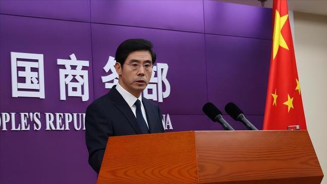 吃尽中国红利却卸磨杀驴卖身美国这被查一点都不冤(图8)