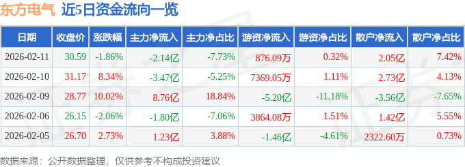 东方电气（600875）2月11日主力资金净卖出214亿元