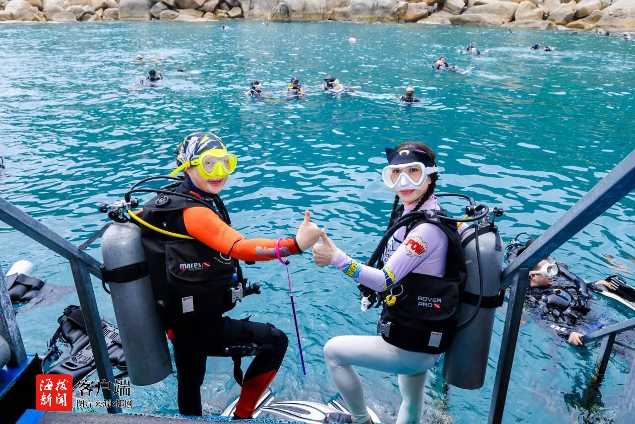 三亚从“看海”转向“玩海、护海” 水下摄影珊瑚种植激活蓝色新动能