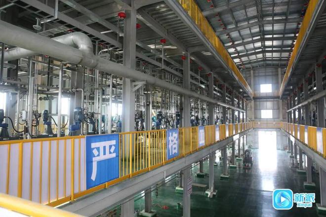 抢占未来发展制高点！潍坊高密战略性新兴产业“各显其能”