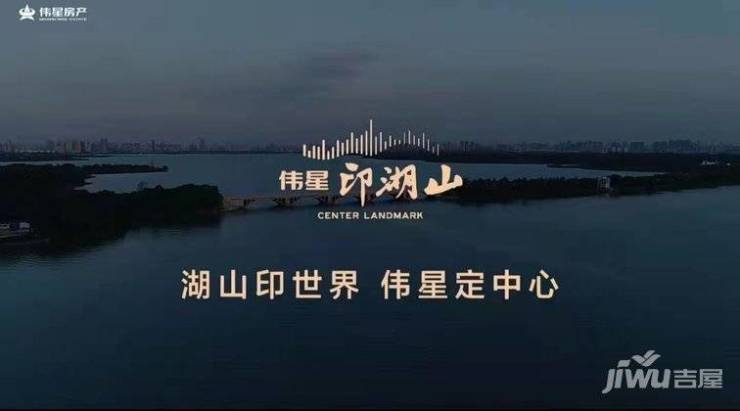 合肥伟星印湖山项目户型图-值得买吗